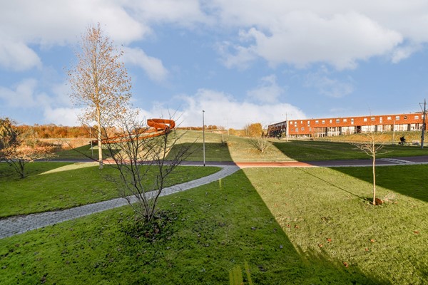 Olijfhout 41 - 21.jpg